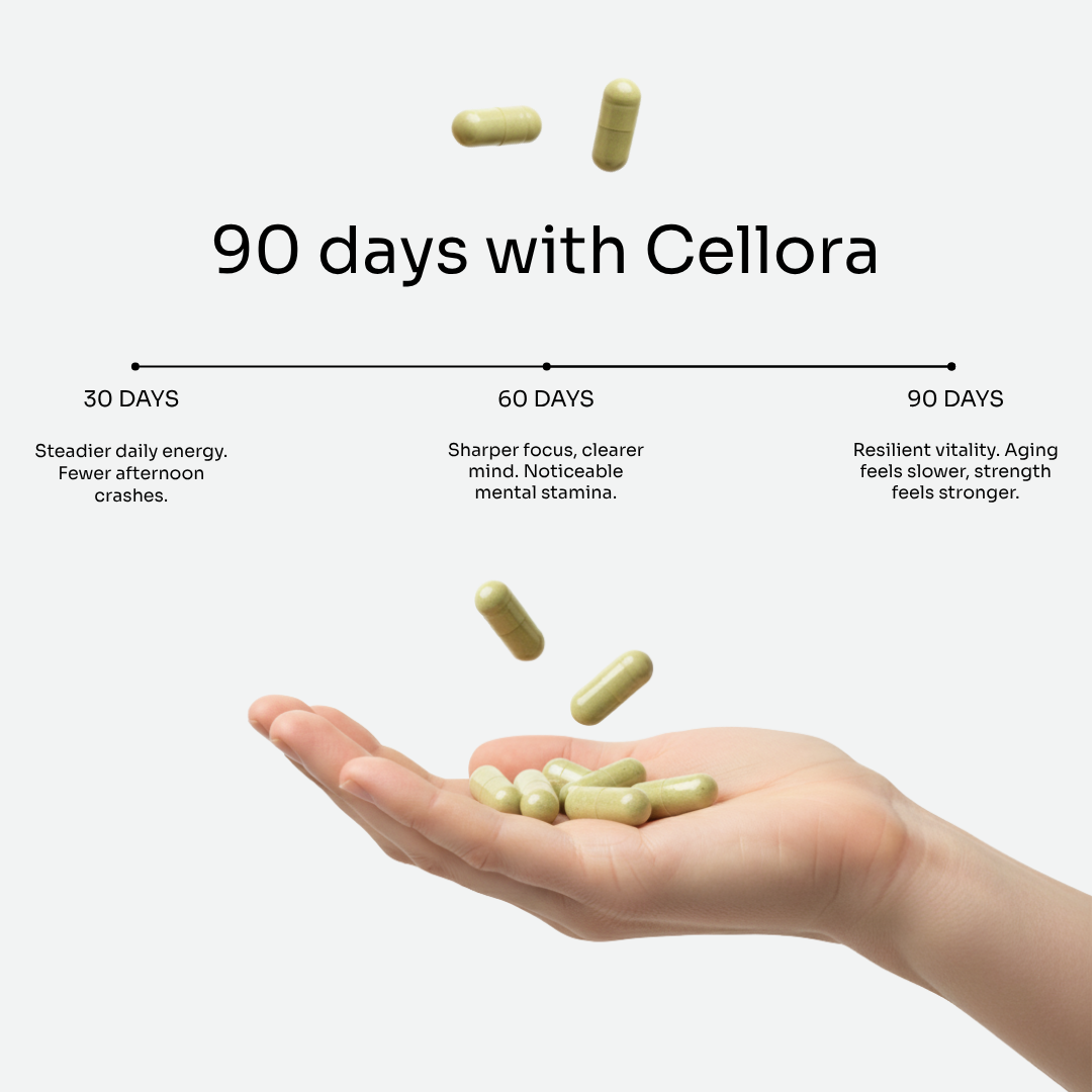 NAD⁺ Energy, Sleep & Anti-Aging Support